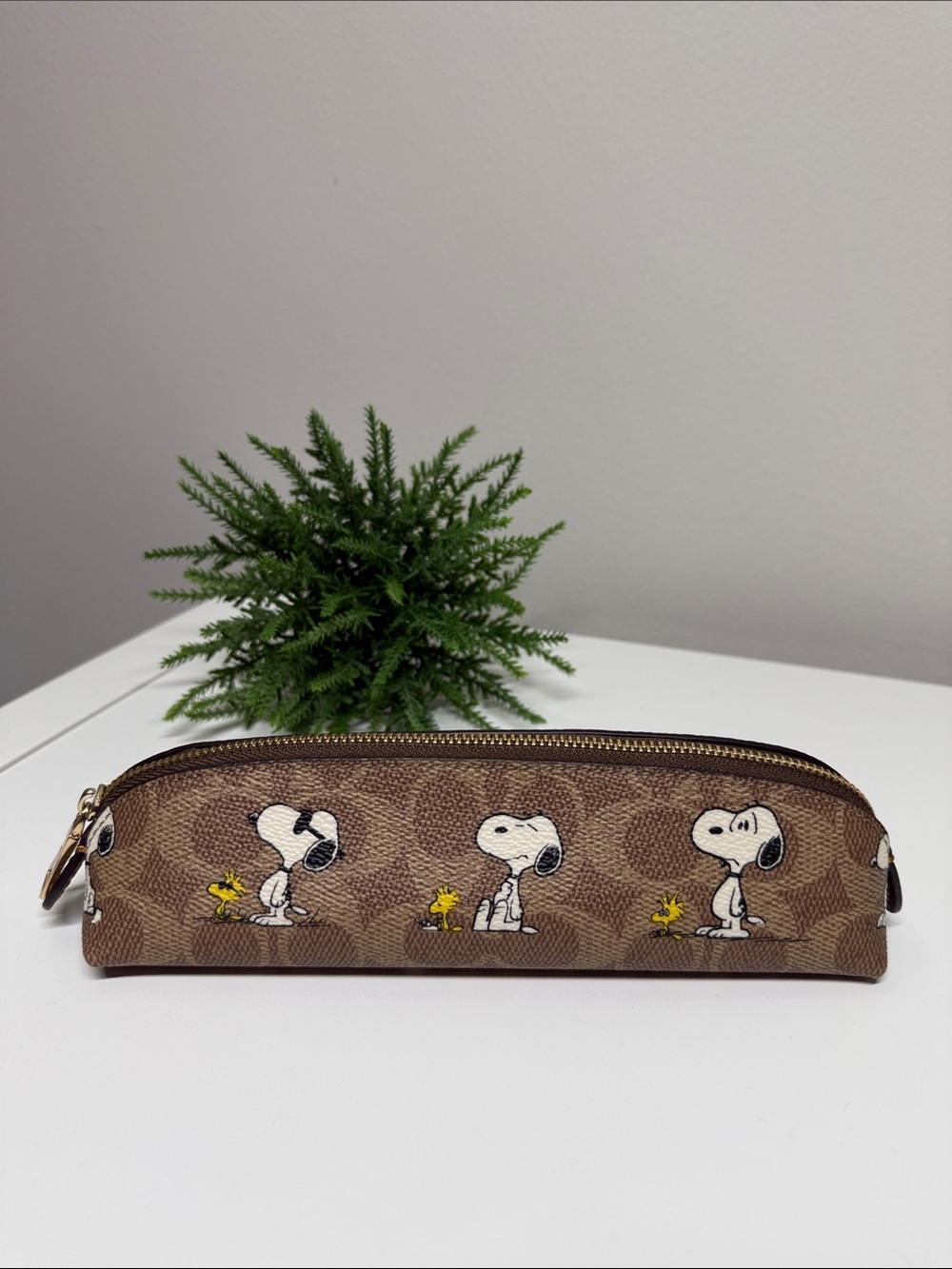 🎀 Coach Snoopy pencil case in signature print
